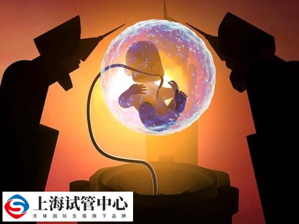 人造子宫已在羊身上实现
