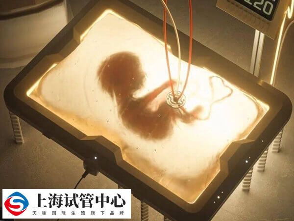 人造子宫生孩子还实现不了