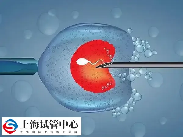 试管移植一般在降调后14到28天左右开始启动