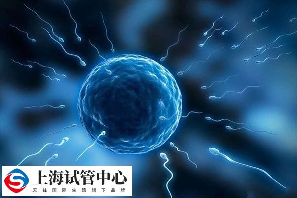 试管移植是一种较为常见的辅助生殖技术