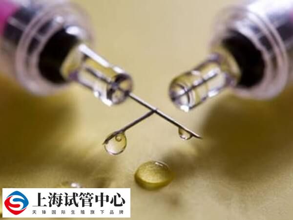 夜针能够触发卵泡最终的成熟和排卵
