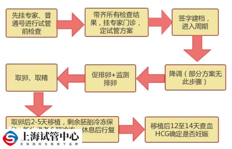 降调是试管婴儿周期中的一个关键步骤