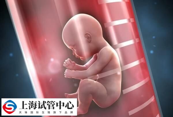 降调与不降调的区别在于针对症状不同