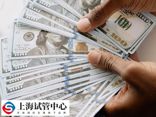 做试管单胎和双胎费用一样