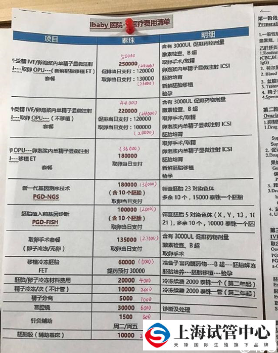 泰国试管婴儿费用
