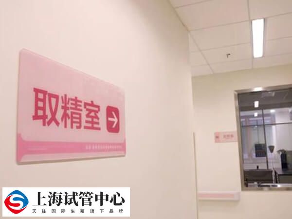 试管取精和取卵在同一时间进行