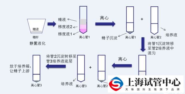 洗精原理与流程