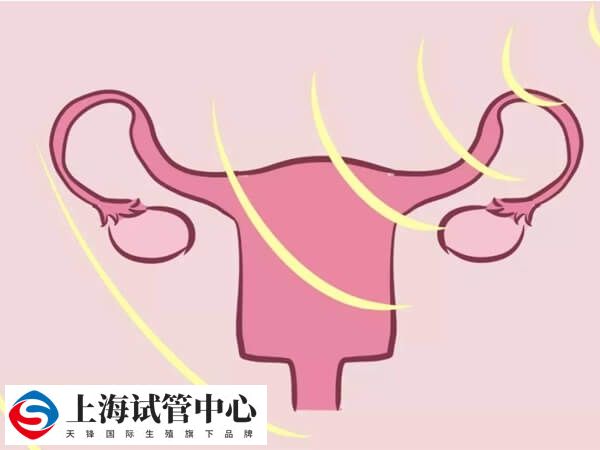 子宫后位偏高在移植前要去医院检查