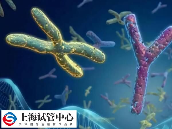 男性染色体缺失可以做试管