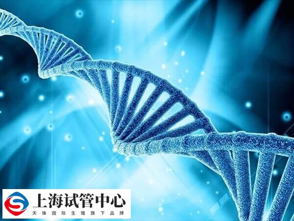男性染色体sy1192缺失可以做人授