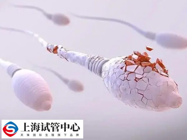 红斑狼疮病情稳定可以做试管婴儿