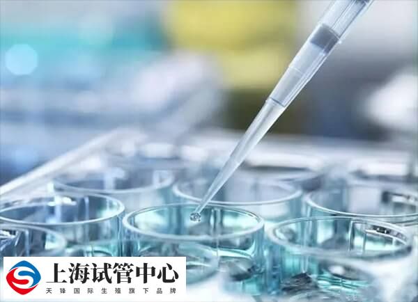 目前多数省份将试管项目纳入医保报销范围
