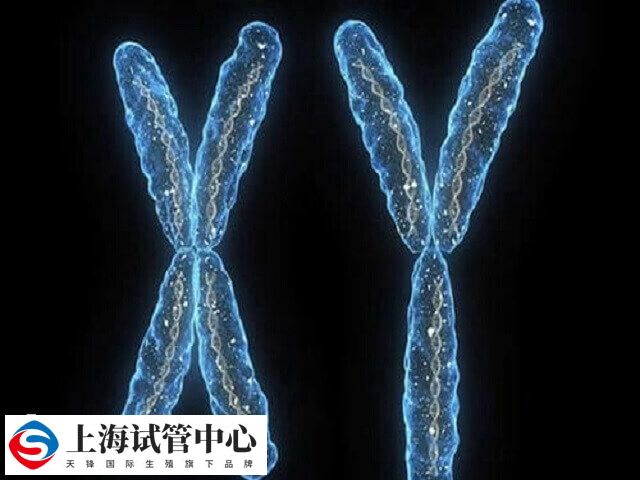 做三代试管婴儿是不容易挑到y精子的