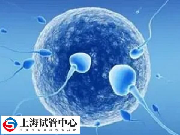有严重的家族遗传病可选择三代试管技术