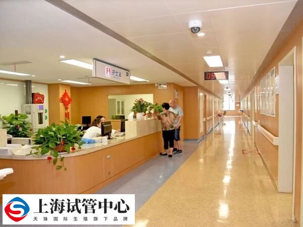 在全球可以冻卵的国家有很多