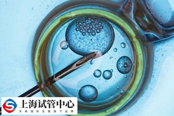 面瘫一般与生殖功能无任何关系