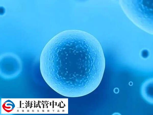 面瘫主要是由于面神经受损所致