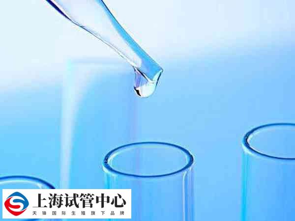 单纯的免疫球蛋白偏高影响不大