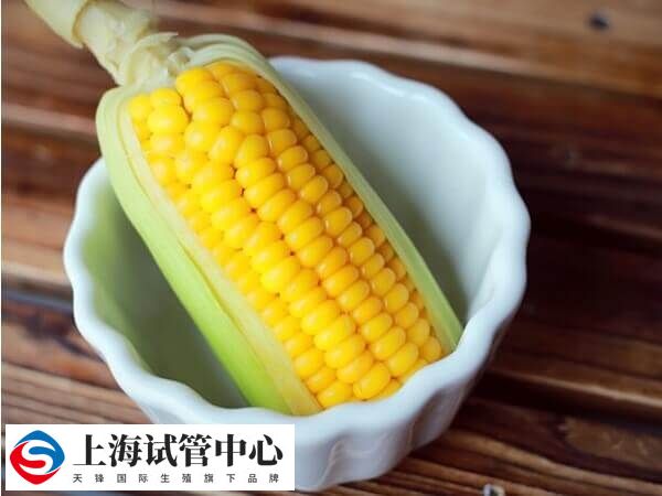 鲜胚移植后吃玉米能预防便秘